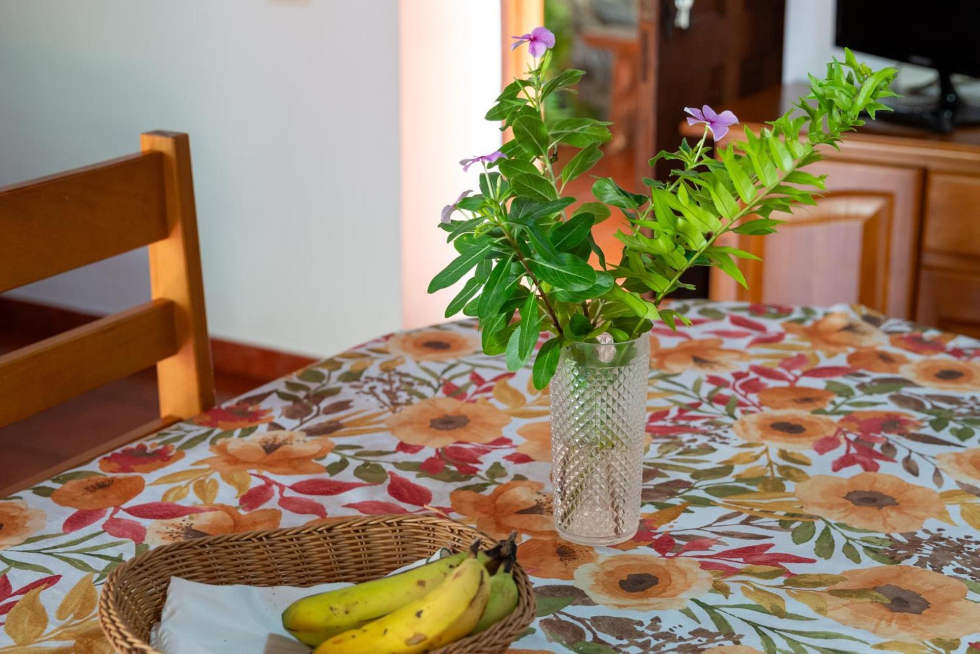 Casa Rural Las Nuevitas I Hermigua Dış mekan fotoğraf