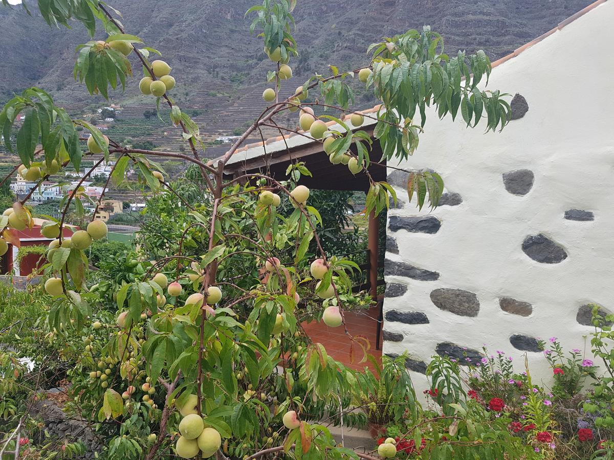 Casa Rural Las Nuevitas I Hermigua Dış mekan fotoğraf